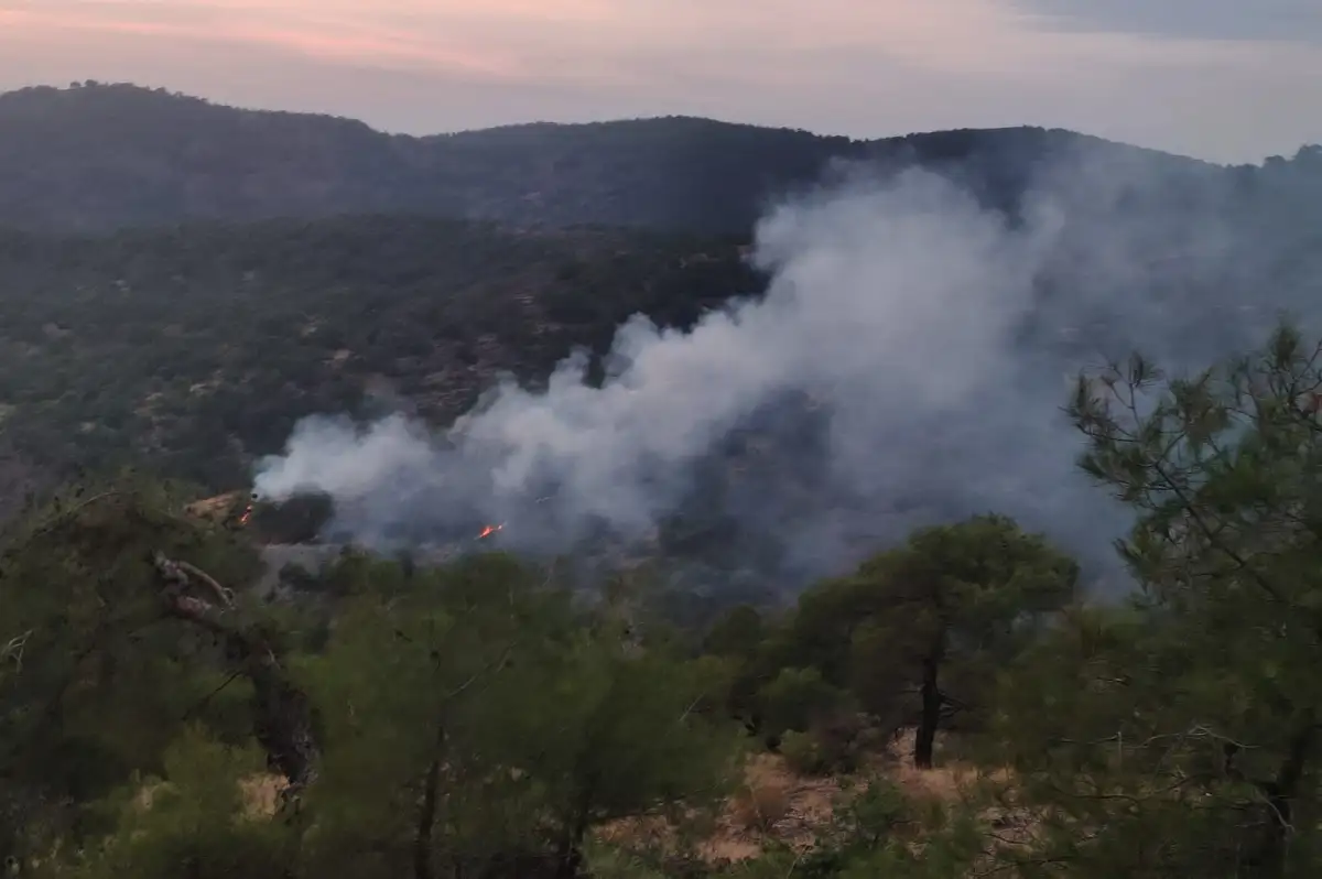 Gaziantep İslahiye'de orman yangını: 4 dönüm alan zarar gördü