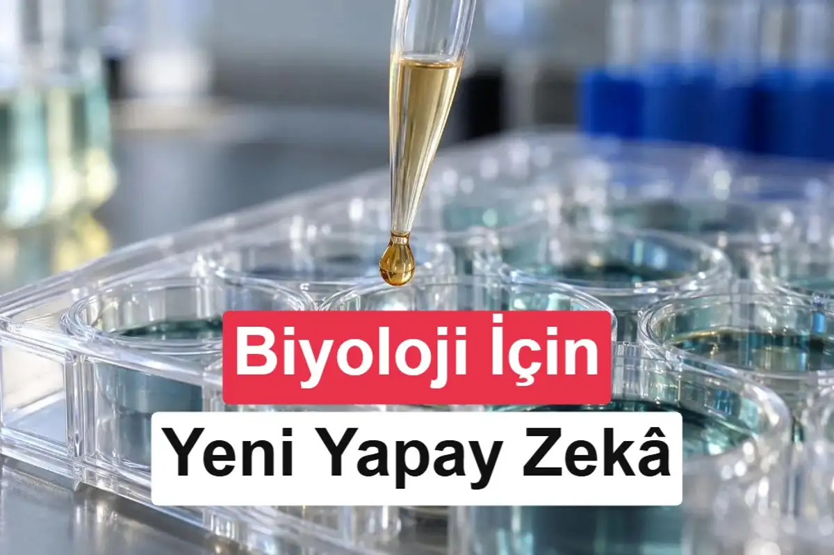 Microsoft biyoloji için yapay zekâ modeli Quine'yi tanıttı