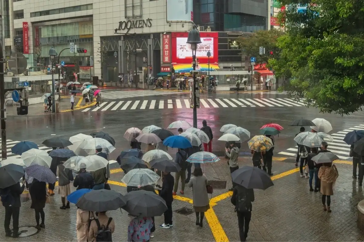 Tokyo'da 35 günlük yağış rekoru kırıldı, sebze fiyatları arttı