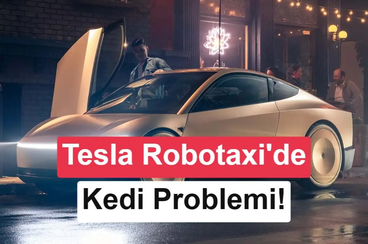Elon Musk: Robotaksi'de karanlıkta kedileri algılamak zor