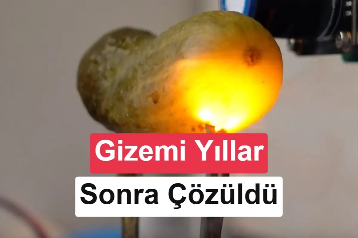 Elektrik verilen turşu neden ışıl ışıl parlar? Yıllar sonra cevabı bulundu
