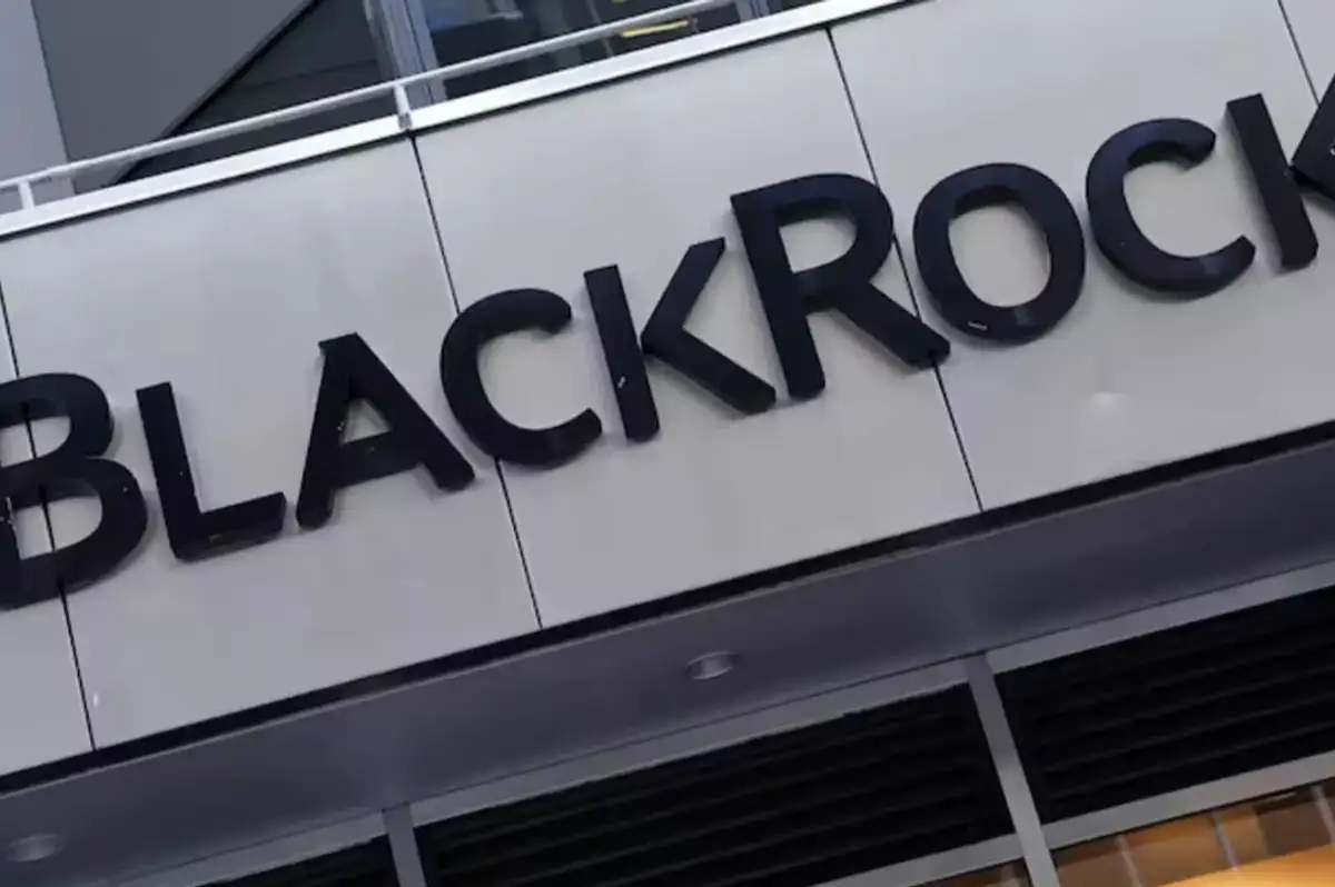 BlackRock'un kârı ve geliri beklentileri aştı