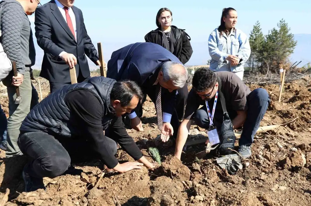 Karabük'te ErasmusDays Kapsamında 192 Kişi 250 Fidan Dikti