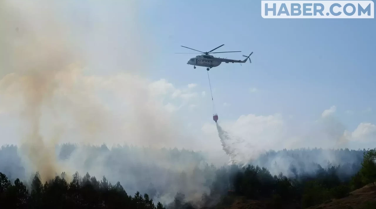 Orman Yangınlarıyla Mücadele Kapasitesi Artırılıyor