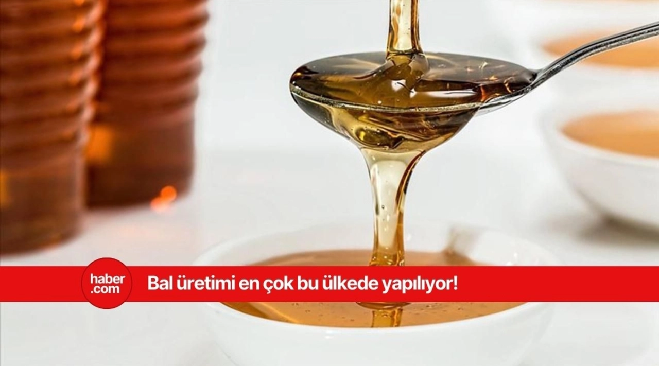 En çok bal üretimi yapan ülkeler belli oldu! Türkiye listede bakın kaçıncı sırada