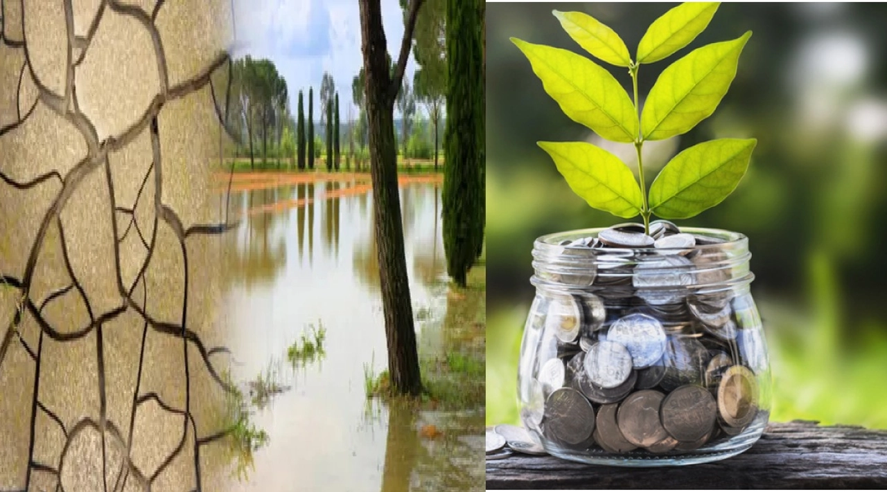 El Nino'nun Yıkıcı Etkisi Küresel Ekonomiyi Nasıl Etkileyecek?