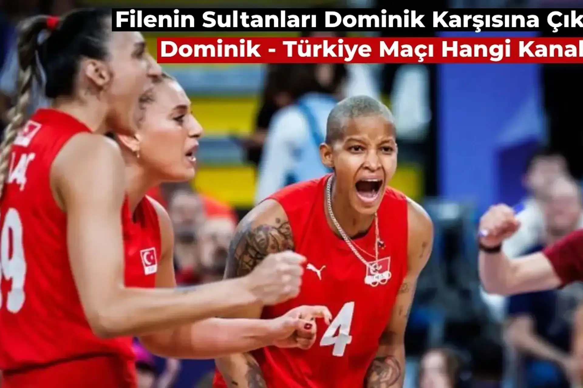 Türkiye Dominik Maçı Canlı İzle: Filenin Sultanları Dominik Olimpiyat Maçı Hangi Kanalda?