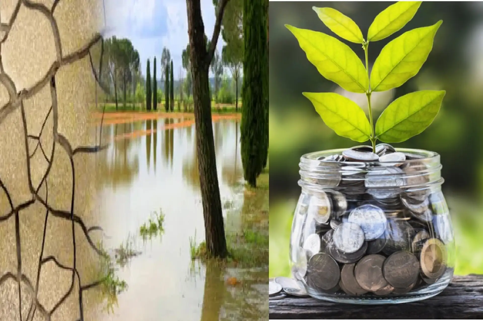 El Nino'nun Yıkıcı Etkisi Küresel Ekonomiyi Nasıl Etkileyecek?