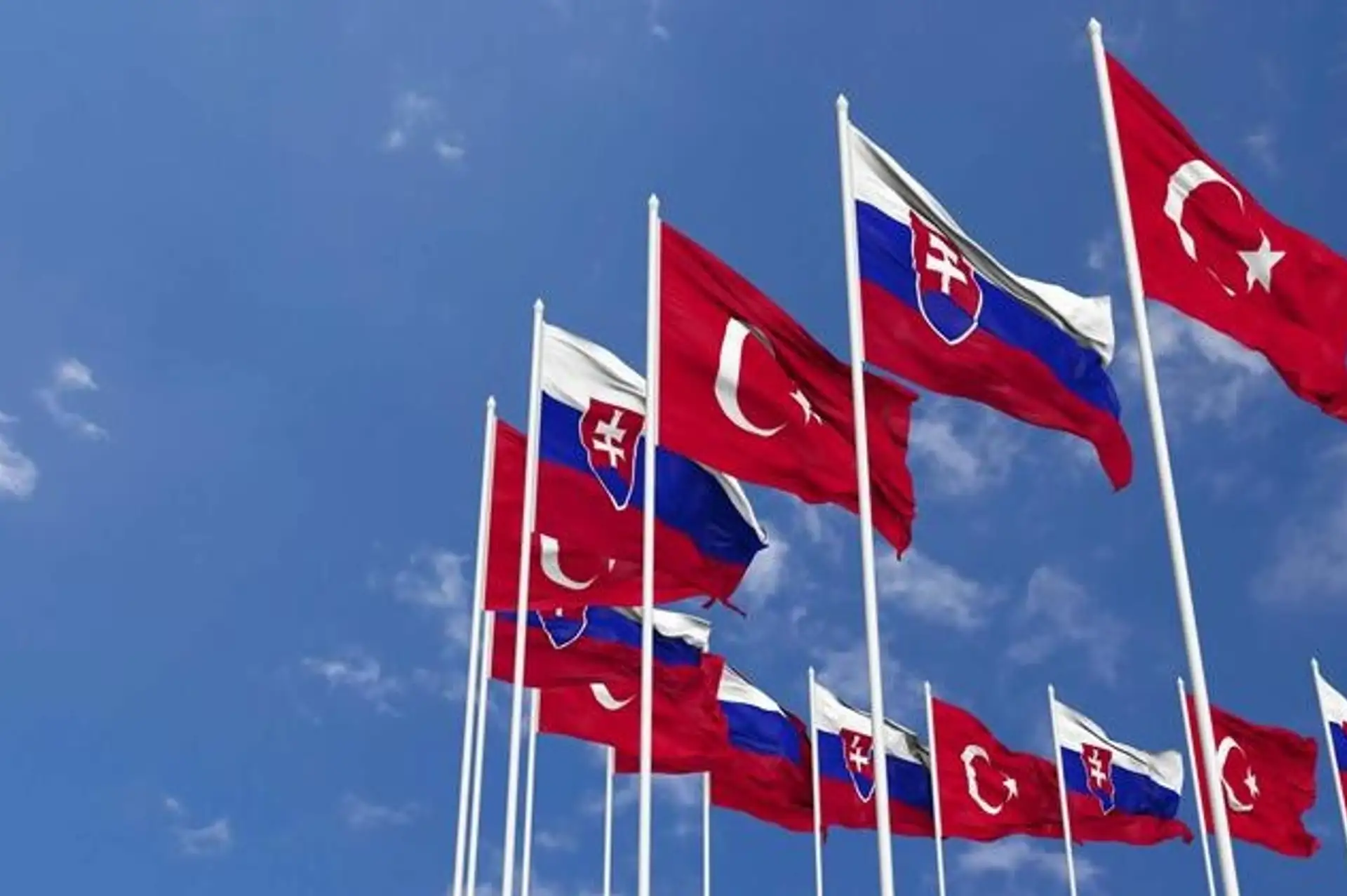 Türkiye ile Slovakya Arasında Enerji İşbirliği Mutabakatı
