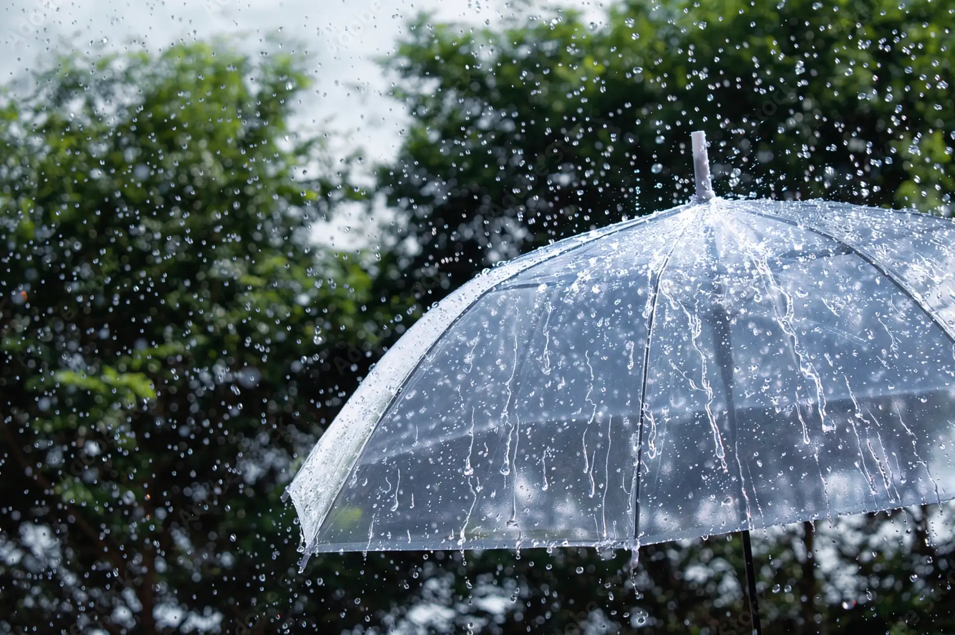 Meteoroloji’den Hafta Sonu Alarmı: Sağanak Yağış ve Sis Yurdu Etkisi Altına Alıyor