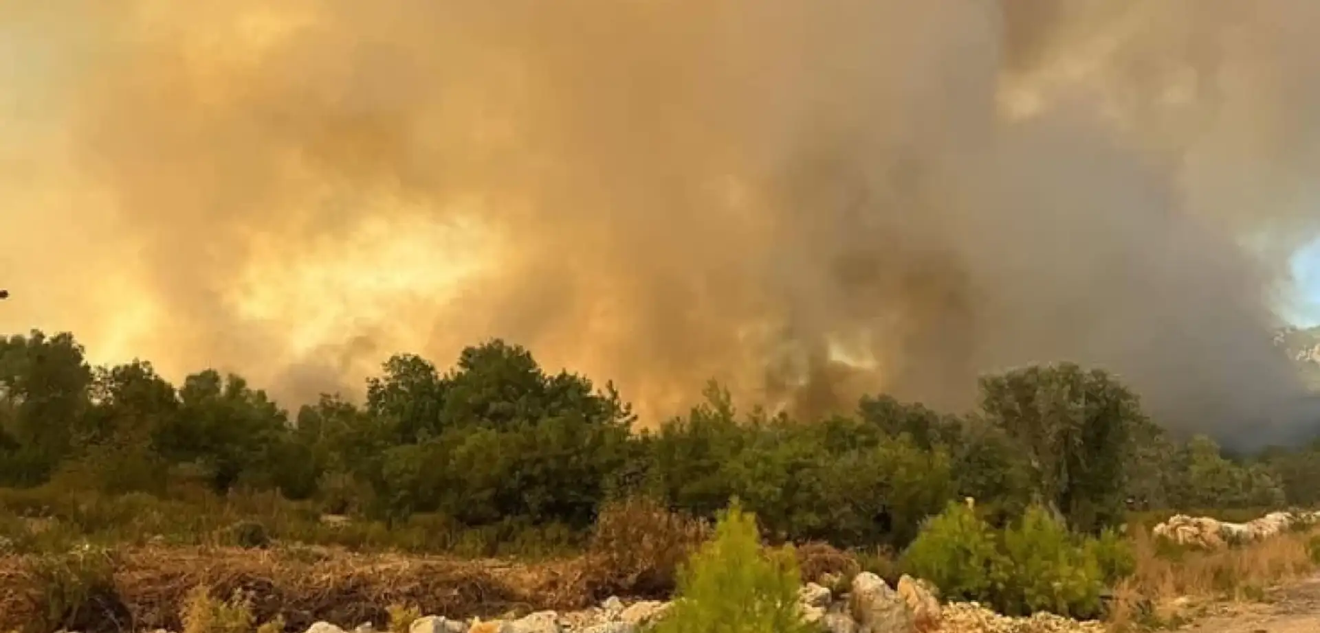 Antalya'nın Serik İlçesinde Korkutan Yangın!