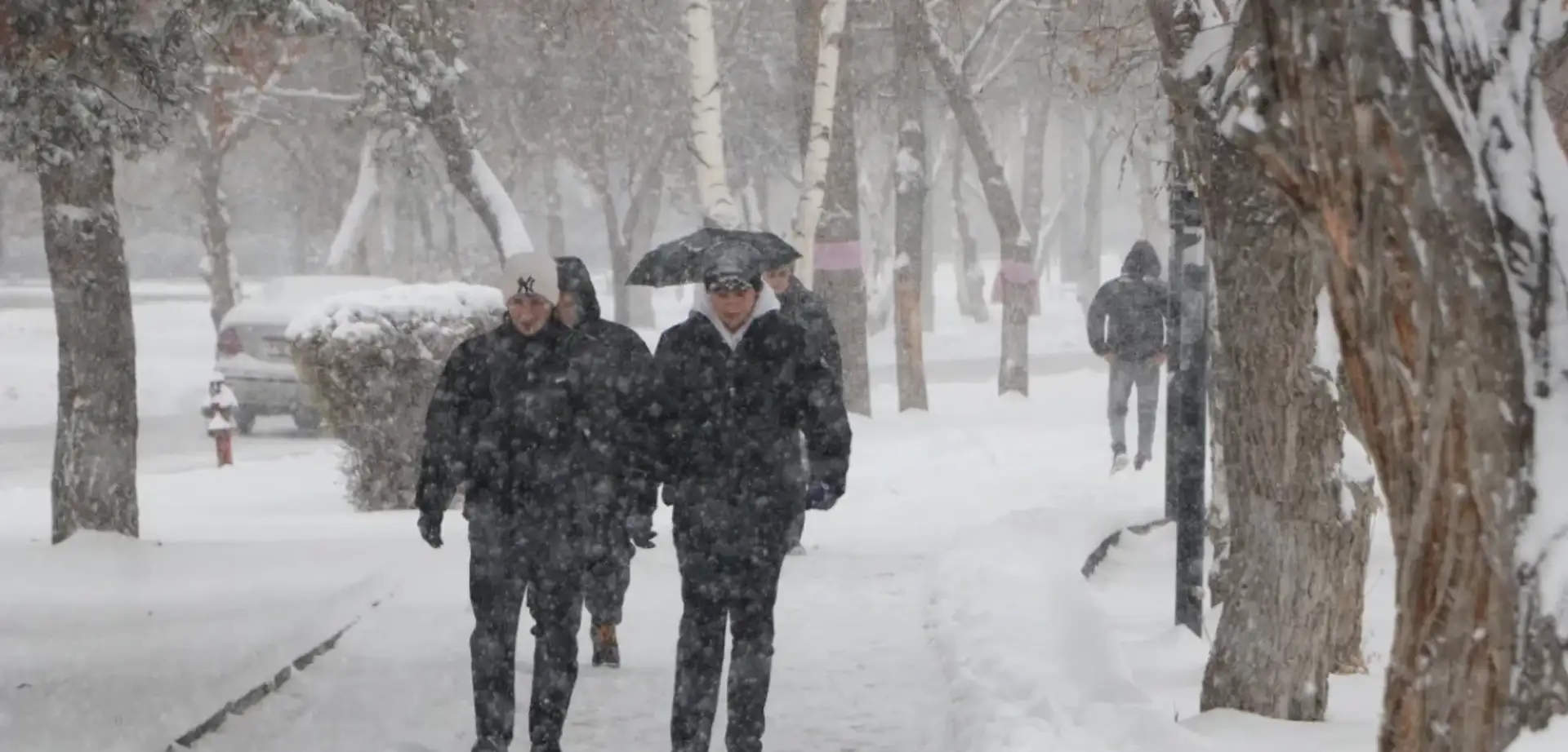 Erzurum'da Kar Yağışı Hayatı Durma Noktasına Getirdi: Bazı Yollar Kapandı