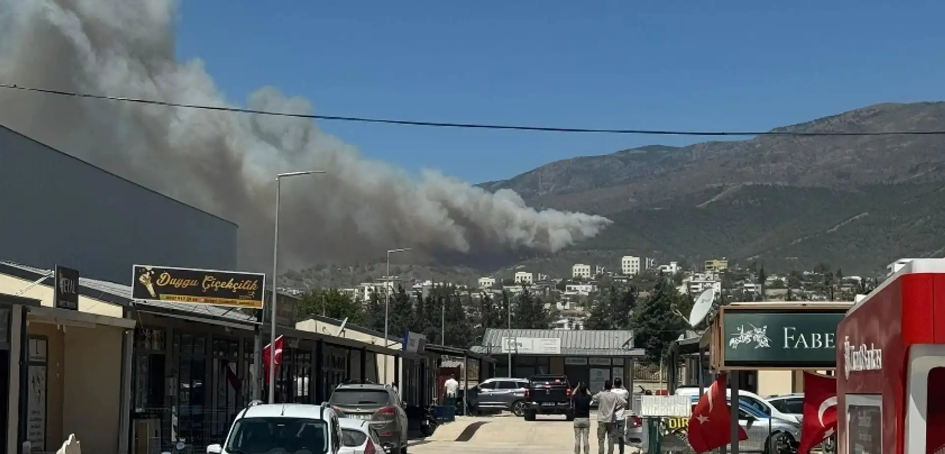 Hatay'da Ormanlık Alanda Yangın