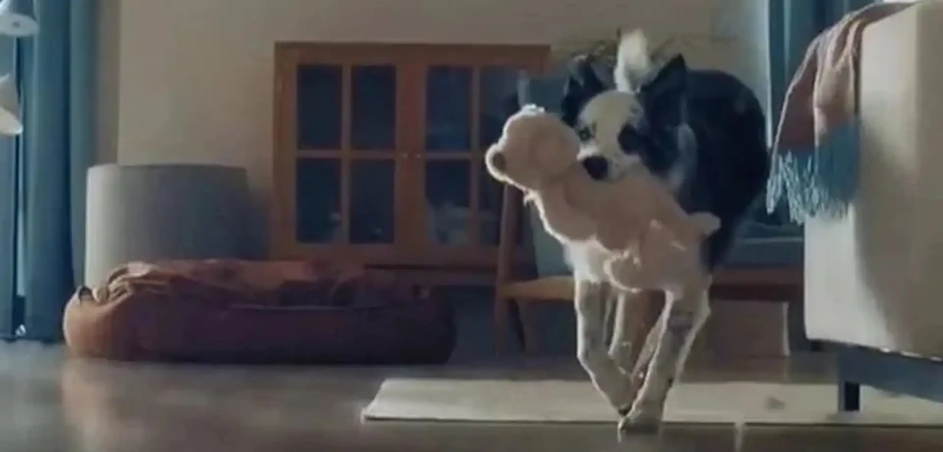 Bosch'un "Anneler Günü" Reklamı Yayından Kaldırıldı!