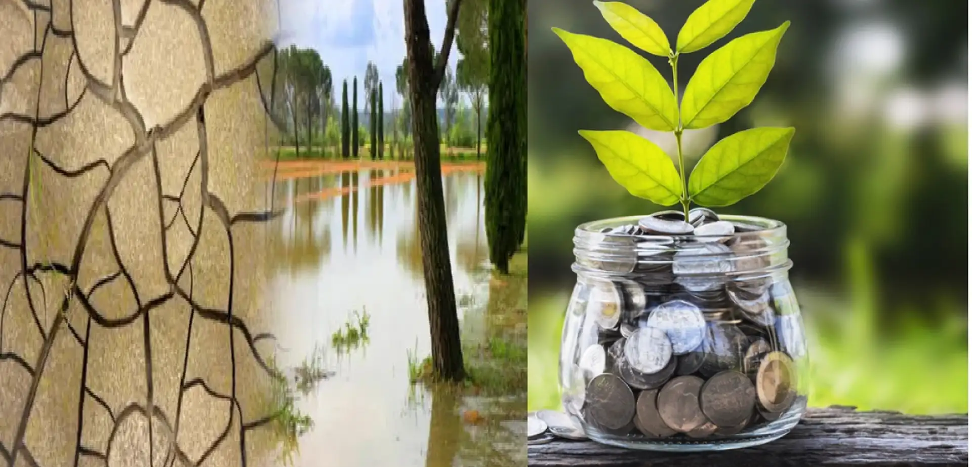 El Nino'nun Yıkıcı Etkisi Küresel Ekonomiyi Nasıl Etkileyecek?