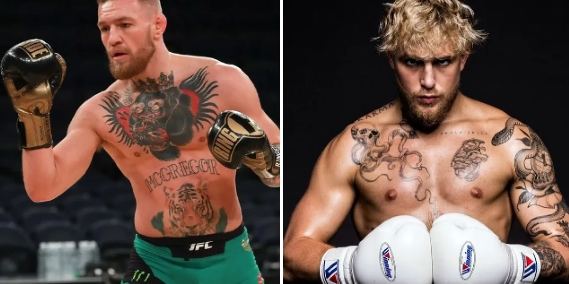 Mike Tyson'ı Yenen Jake Paul'dan İddialı Hareket: Conor McGregor'u Dövüşe Davet Etti