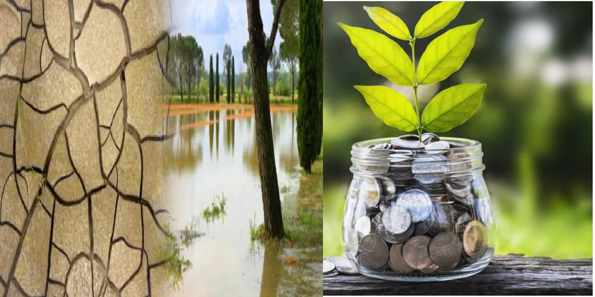 El Nino'nun Yıkıcı Etkisi Küresel Ekonomiyi Nasıl Etkileyecek?