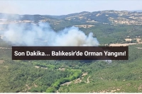 Balıkesir'de Ormanlık Alanda Yangın! İşte Son Durum