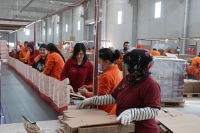 Böyle Azim Görülmedi: Eşinin Bileziğini Bozdurup İş Kurdu, 750 Kişiye İstihdam Sağlıyor