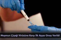 Dünya Sağlık Örgütü, Maymun Çiçeği Virüsüne Karşı İlk Aşıya Onay Verdi