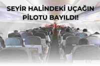 Havada Panik Dolu Anlar! Pilotu Bayılan Uçak Acil İniş Yaptı!