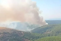 İzmir, Manisa ve Çanakkale'de Orman Yangını! 3 Kişi Hayatını Kaybetti