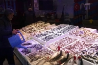 Karadeniz’de Hamsi Bolluğu: Tezgahlar Doldu