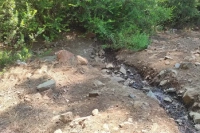 Muğla'da Ormana Terk Edilmiş Bebek Bulundu