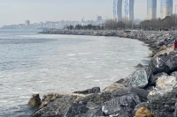 Pendik'te Korkunç Olay: 79 Yaşındaki Kadın Denize Atladı! İntihar Şüphesi Araştırılıyor