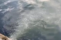 İSKİ'ye Rekor Ceza! Marmara Denizi'ne Atık Su Deşarjı Yapıldığı Tespit Edildi