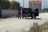 Konya'da 2 Yaşındaki Rana'yı Hayattan Koparmışlardı: Karatay Belediyesi Başıboş Köpekleri Toplatmaya Başladı