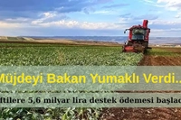 Çiftçilere 5,6 Milyar Liralık Destek Ödemesi Başladı