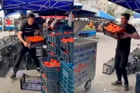 Çorum'da Akılalmaz Olay! Domatesleri Çöpe Döken Pazarcıya Milyon Liralık Ceza Kesildi
