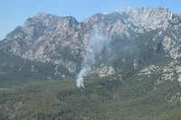 Antalya Kemer'de Orman Yangını
