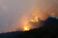 Yüreğimiz Yangın Yeri! 10 Şehidimiz Var