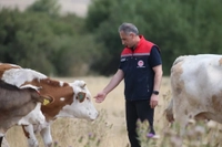 Kars'ta Şap Hastalığı Kontrol Altına Alındı