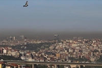 İstanbul Alarm Veriyor: Bir Yılda Yüzde 9 Arttı!