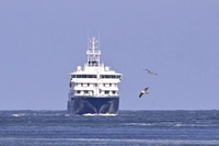 DSÖ'den "MV Hondius" Açıklaması: Hantavirüs Salgını Kontrol Altında