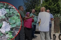 Sakarya'da bütün mahalle diken üstünde: Yakalamak için nöbet tutuyorlar! Gulyabani filmi gerçek oldu...