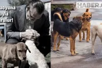 Erdal Beşikçioğlu Çocuğu Isıran Köpeğin Salınacağını Duyurdu! Tepkiler Çığ Gibi Büyüdü