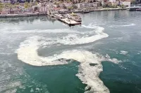 Güney Marmara'da Müsilaj Endişesi: Erdek Körfezi'ni Kapladı