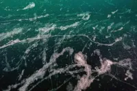 Marmara Denizi'nde Müsilaj Kabusu Geri Döndü