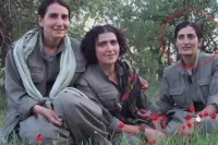 MİT, PKK/KCK'nın Sözde Sorumlusu Gülistan Tekik'i Etkisiz Hale Getirdi