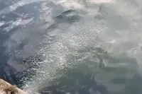 İSKİ'ye Rekor Ceza! Marmara Denizi'ne Atık Su Deşarjı Yapıldığı Tespit Edildi