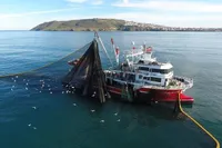 Su Ürünleri Avcılığına Yeni Düzenlemeler
