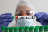 Avustralya'da ilk kez bir memelide H5N1 kuş gribi tespit edildi