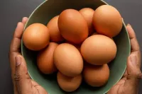 Salmonella salgını 8 Avrupa ülkesine yayıldı: 306 kişi hastalandı