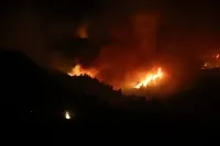 Cezayir'de çıkan orman yangınlarında 12 kişi hayatını kaybetti