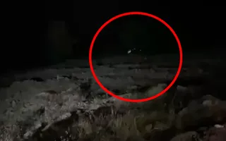Bingöl Genç'te araç uçuruma yuvarlandı: 4 ölü, 5 yaralı