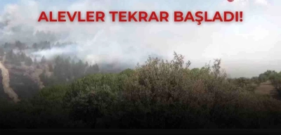 Bolu’da Kontrol Altına Alınan Yangın Tekrar Alevlendi!